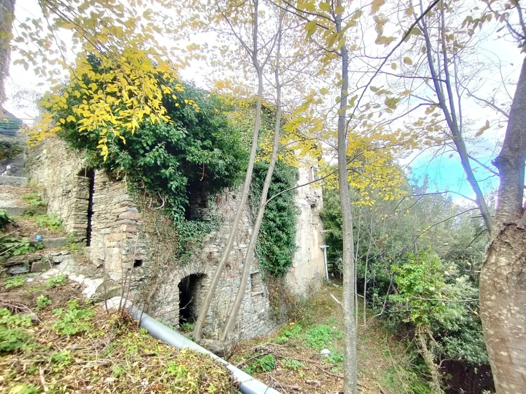 Extérieur - Maison en Pierre à Rénover à Campodonico