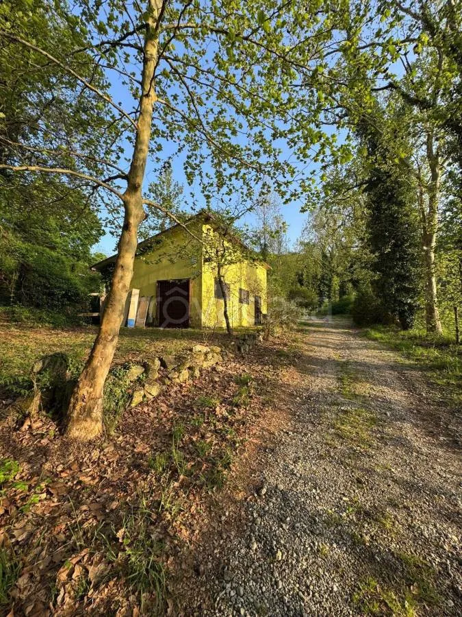 Extérieur - Casale with 8 Hectares in Torreglia