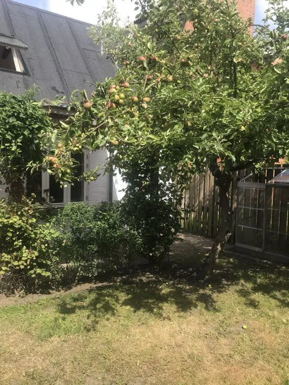 2-toaline korter asukohas Odense
