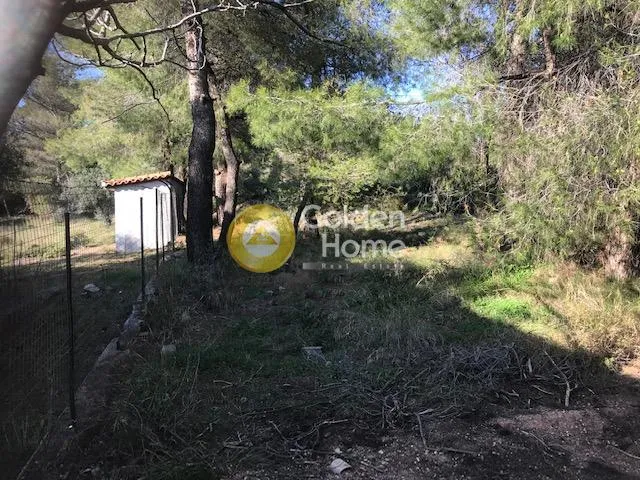 Terrain à GR