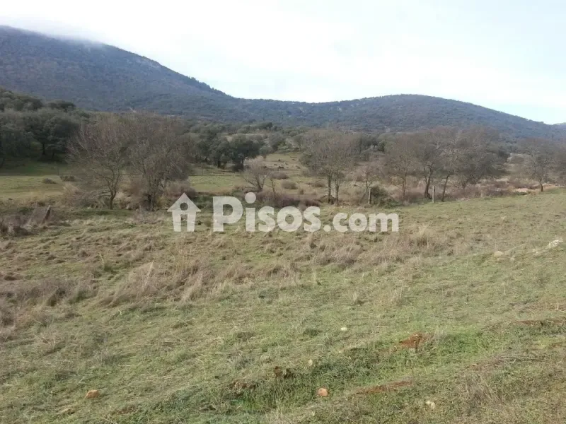 Aed - Rustic Finca with Pool in Montiel