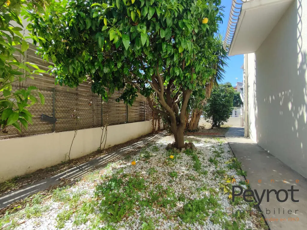 Garden - Spacious T3 Apartment with Balcony in Perpignan