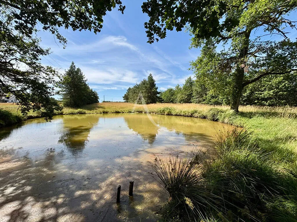 Giardino - Leisure Land with Water Feature in Chemery