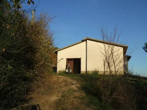 Välivaade - Rustic Villa with Vineyard in Sant'Angelo Dei Lombardi