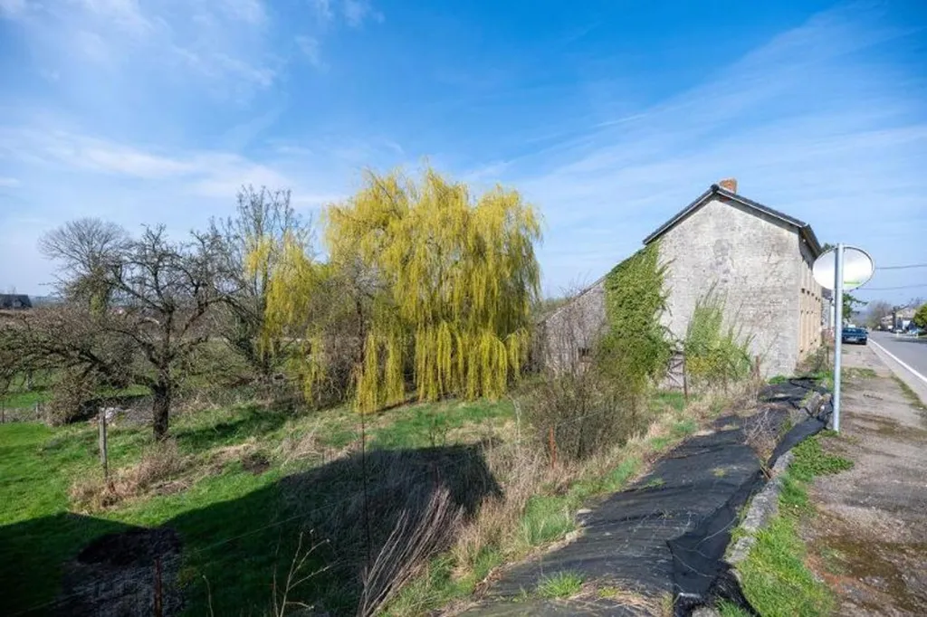 Jardin - Maison en Pierre à Rénover à Ouffet