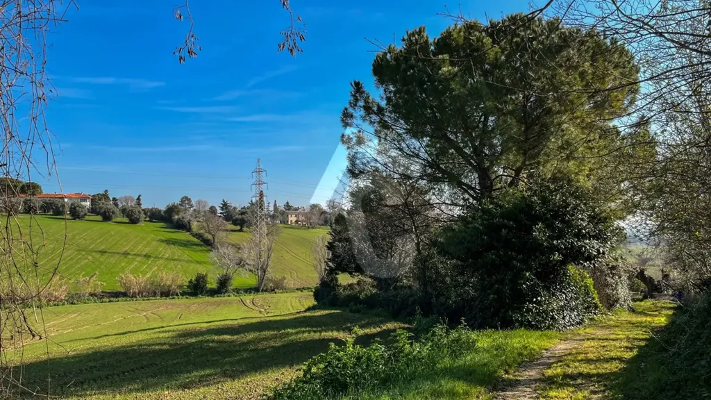 Aed - Rustic House with Private Garden in Jesi