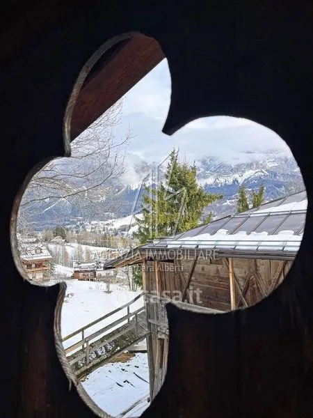 Toad - Attico with Panoramic Terrace in Cortina d'Ampezzo