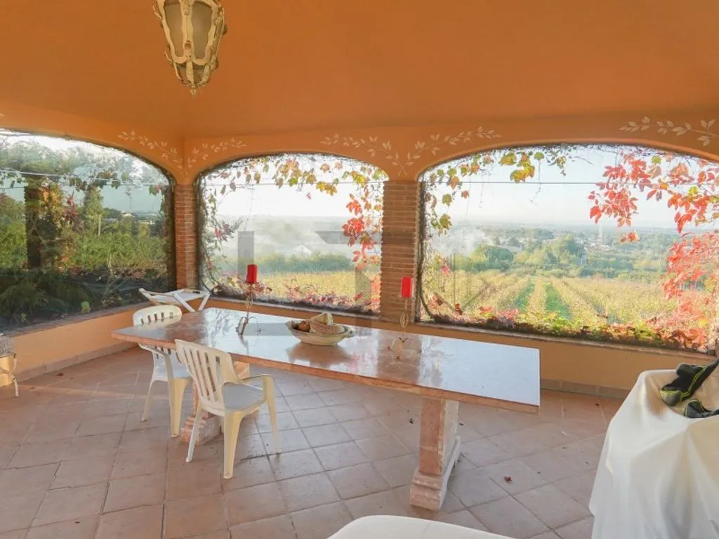 Terrasse - Farm with Pool and Vineyard in Azeitao