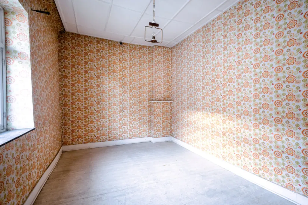 Toad - Renovatable House with Garden in Wonck