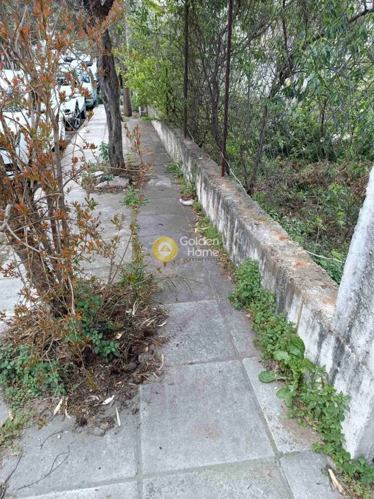 Aed - Plot with Forest View in Melissia