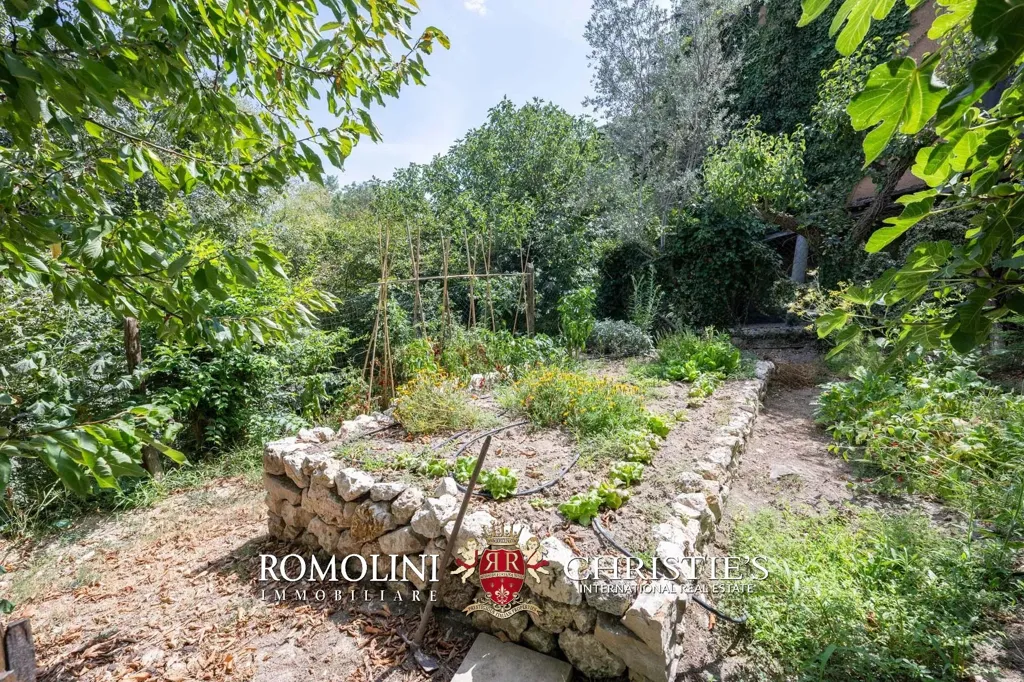 Jardin - New Villa with Panoramic View in Amelia, Umbria