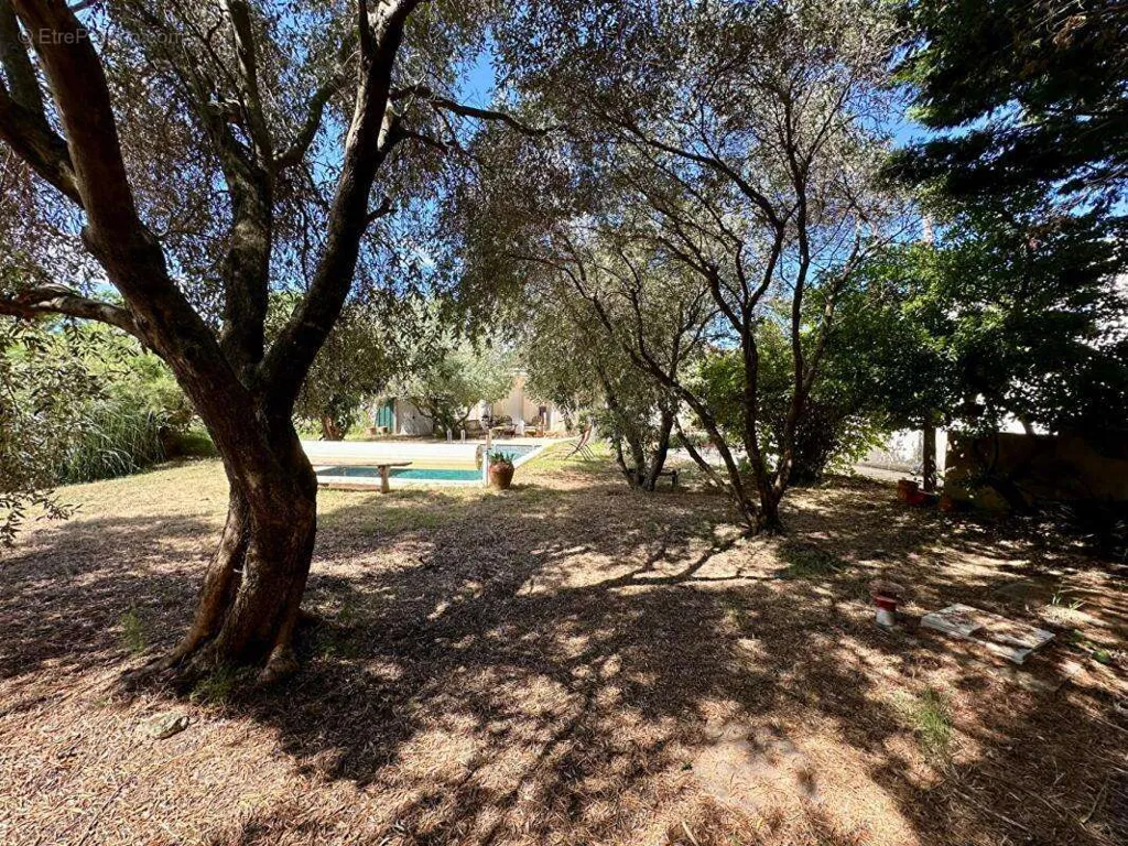 Jardin - Villa de Plain-pied avec Piscine entre Pignan et Cournonterral