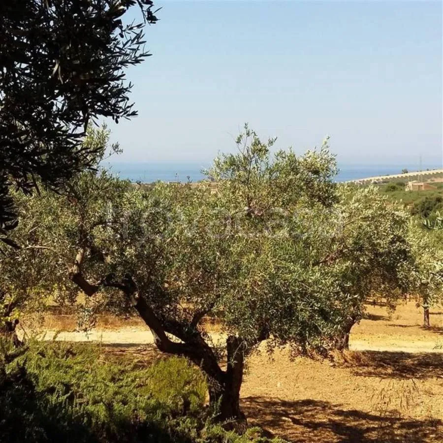 Jardin - Rustic Casale with Olive Grove in Sciacca