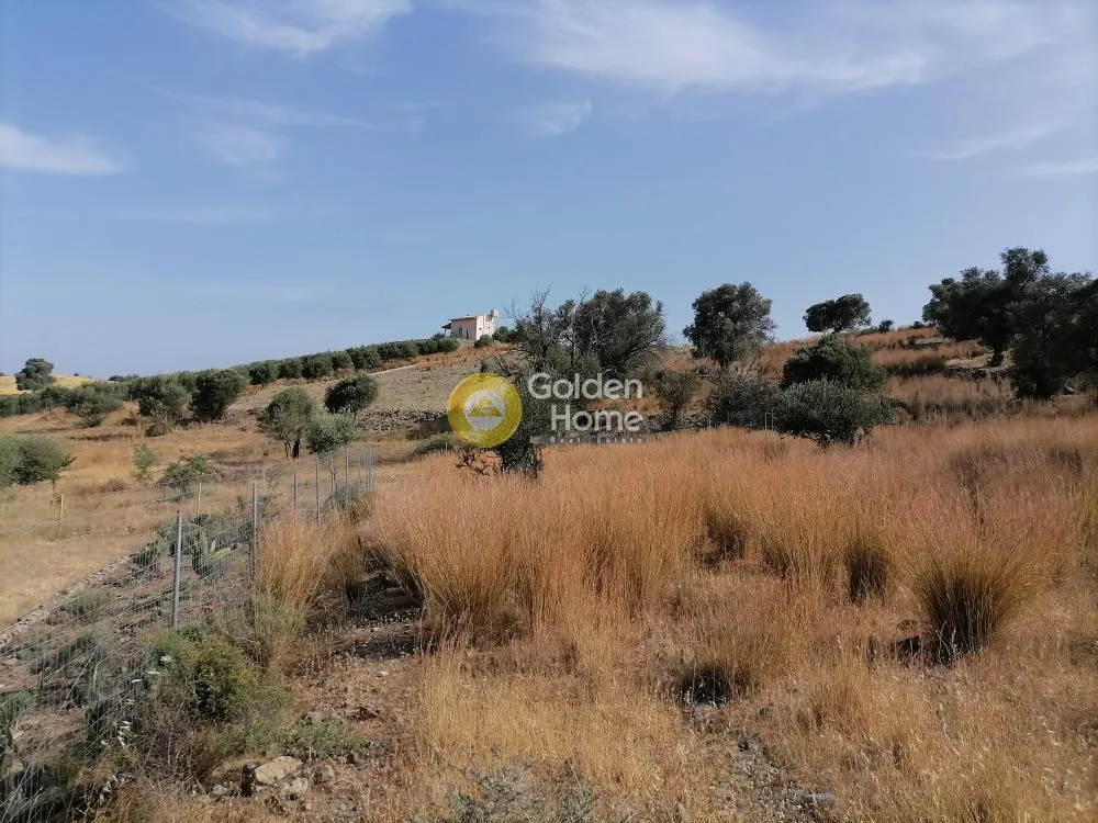 Jardin - Agricultural Plot with Mountain View in Phaistos