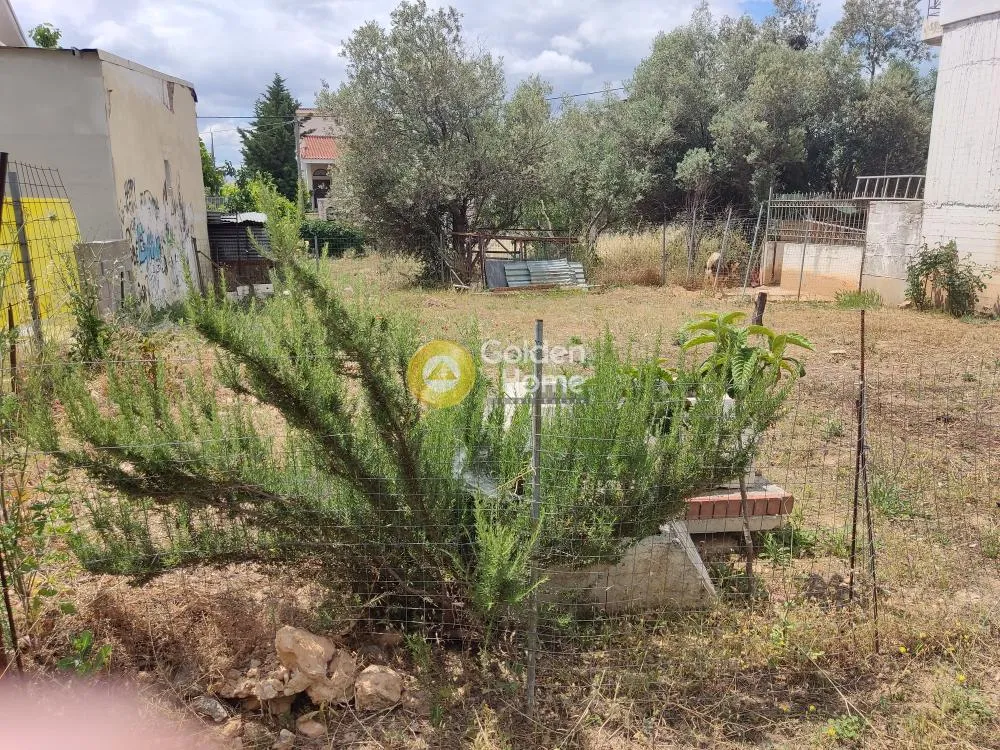 Aed - Buildable Plot with Sea View in Agrilea