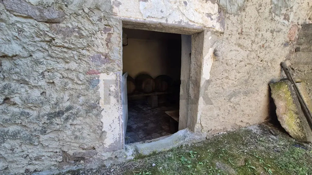 Aed - Rustic House with Olive Grove in Allai