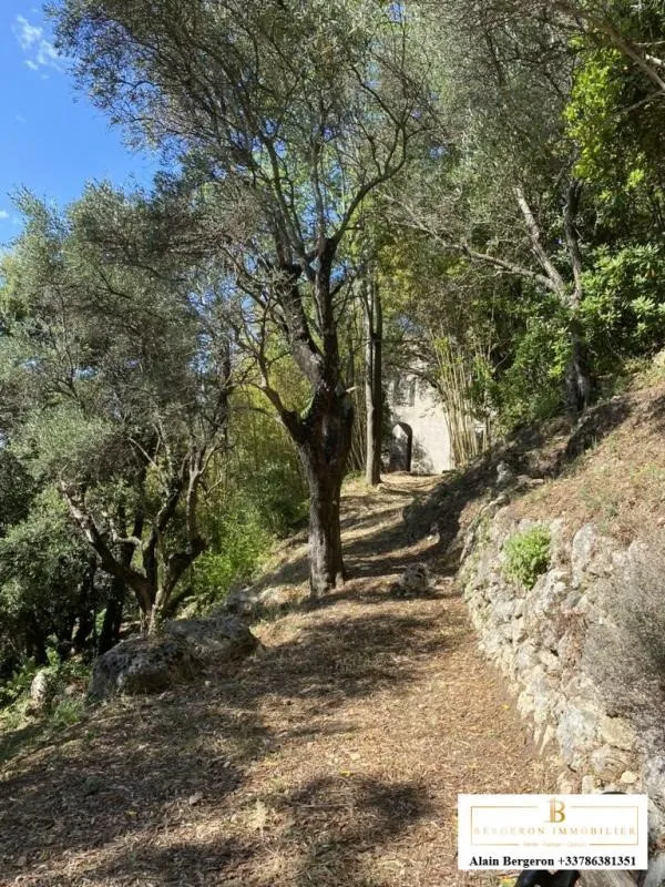 Jardin - Villa avec SPA et Potentiel d'Agrandissement au Tignet