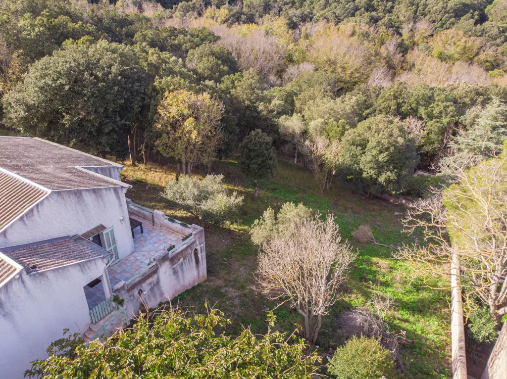 Vue aérienne - Bungalow de plain-pied avec terrasse à Luri