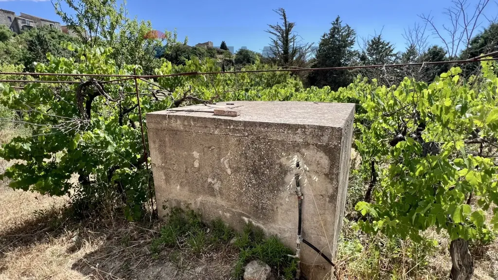 Aed - Villa with Olive Grove in Alimena