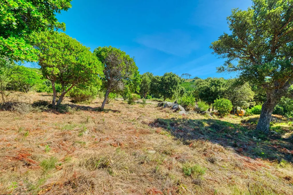 Jardin - Terrain Constructible avec Vues Panoramiques à Bastia