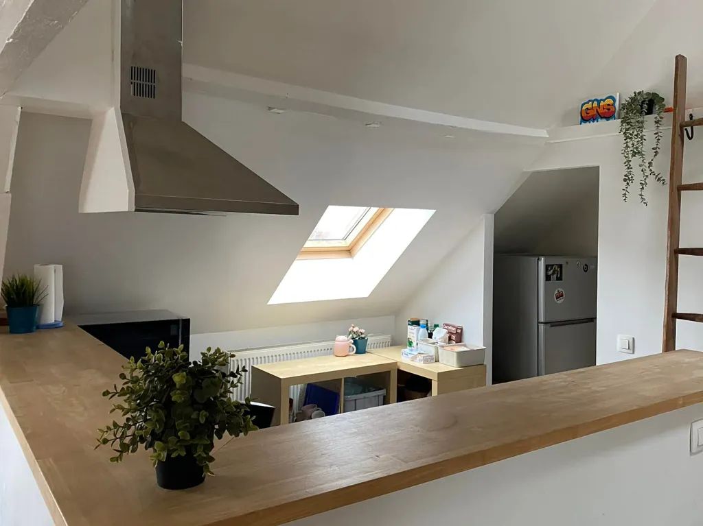 Kitchen - Apartment with Large Skylights in Merksem, Antwerp