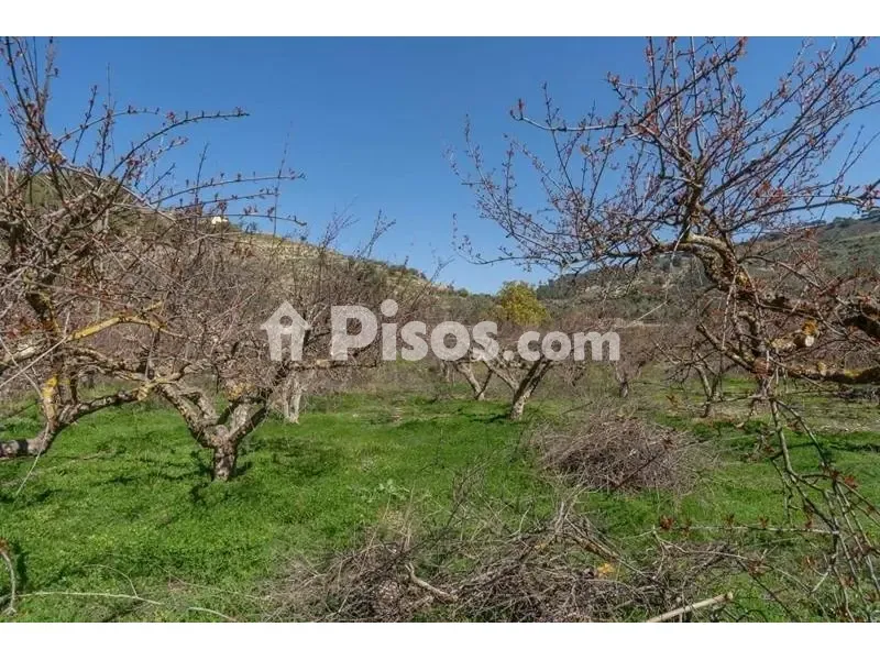 Giardino - Rustic Finca with Mountain View in Cónchar