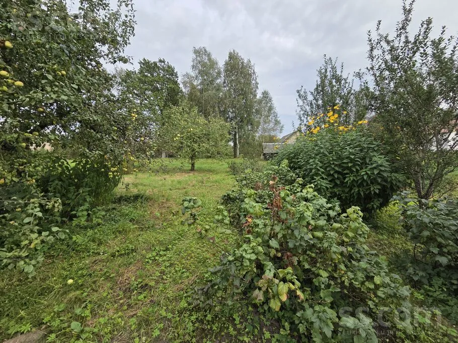 Jardin - Farmhouse with Orchard in Šķeltovas, Krāslava