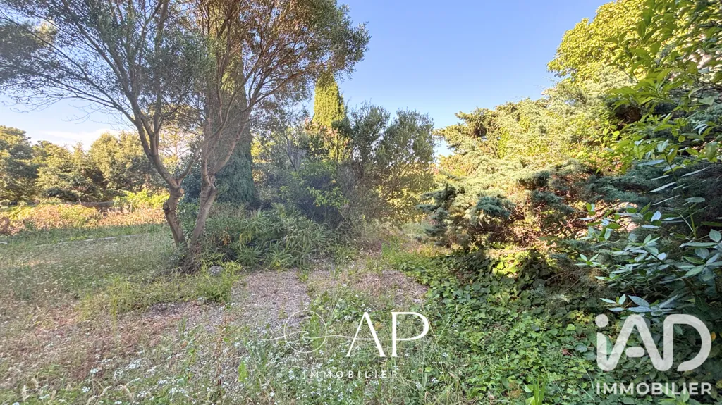 Jardin - Maison à Rénover avec Vue Mer à Hyères