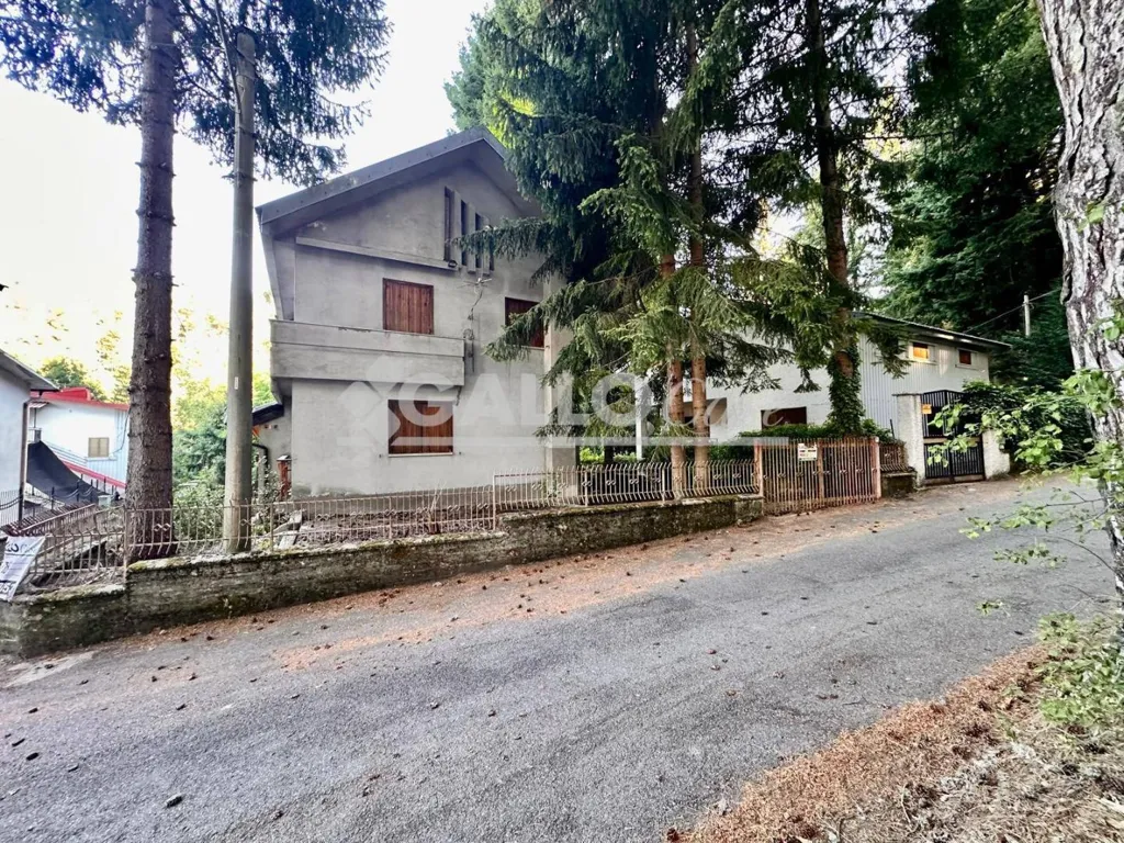 Extérieur - Bifamiliar Villa with Garden in Spezzano della Sila