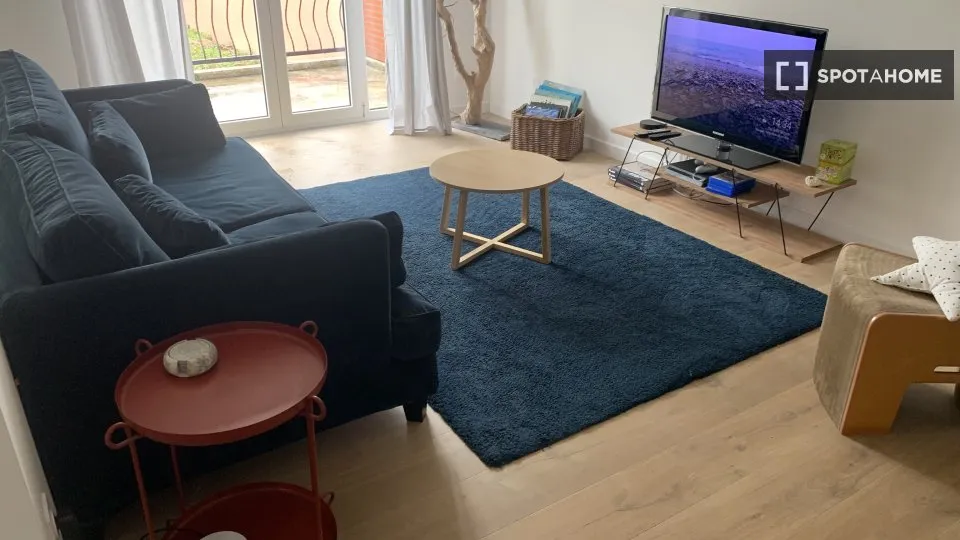 Séjour - Chambre à Louer dans Appartement 3 Pièces à Paris