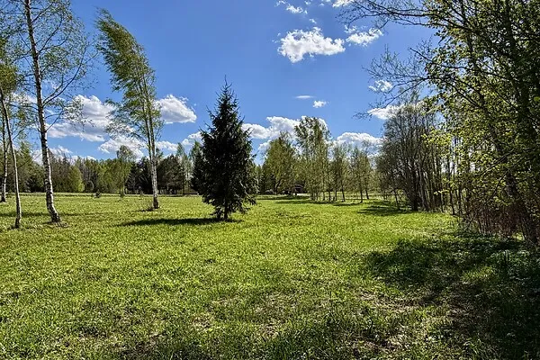 Jardin - Terrain à Kanepi vald