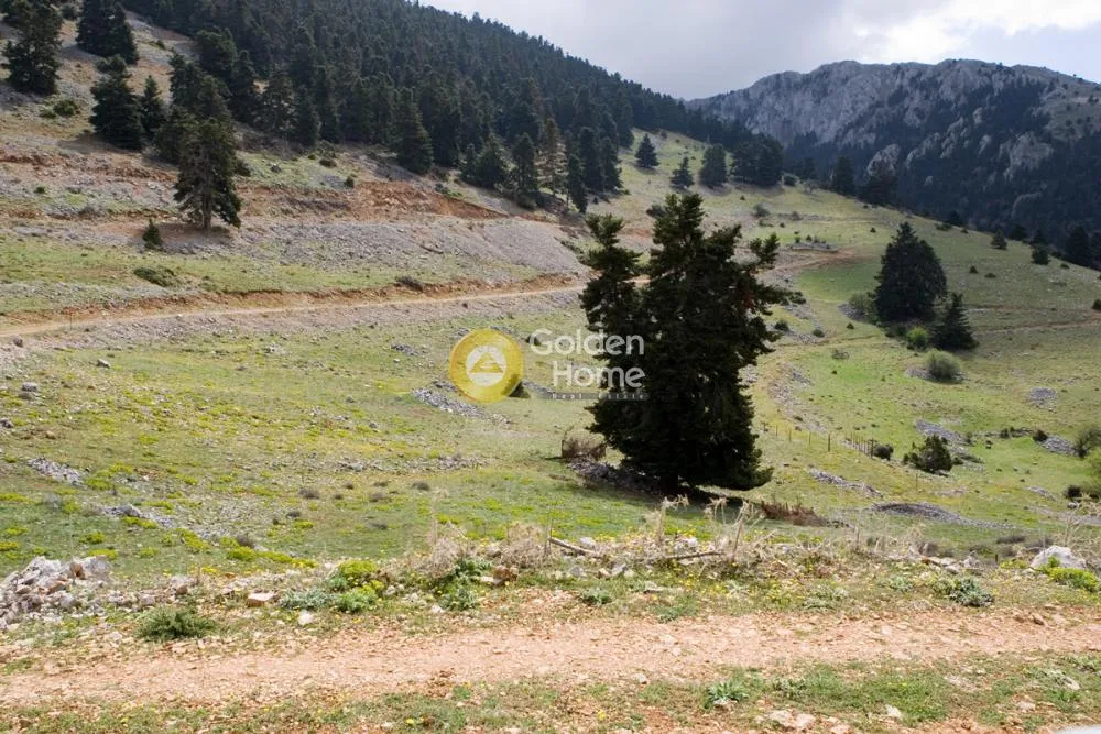 Agricultural Plot with Panoramic View in Arachova