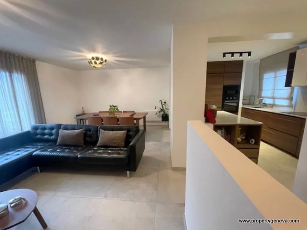 Séjour - Maison de Luxe avec Terrasse à Ferney-Voltaire