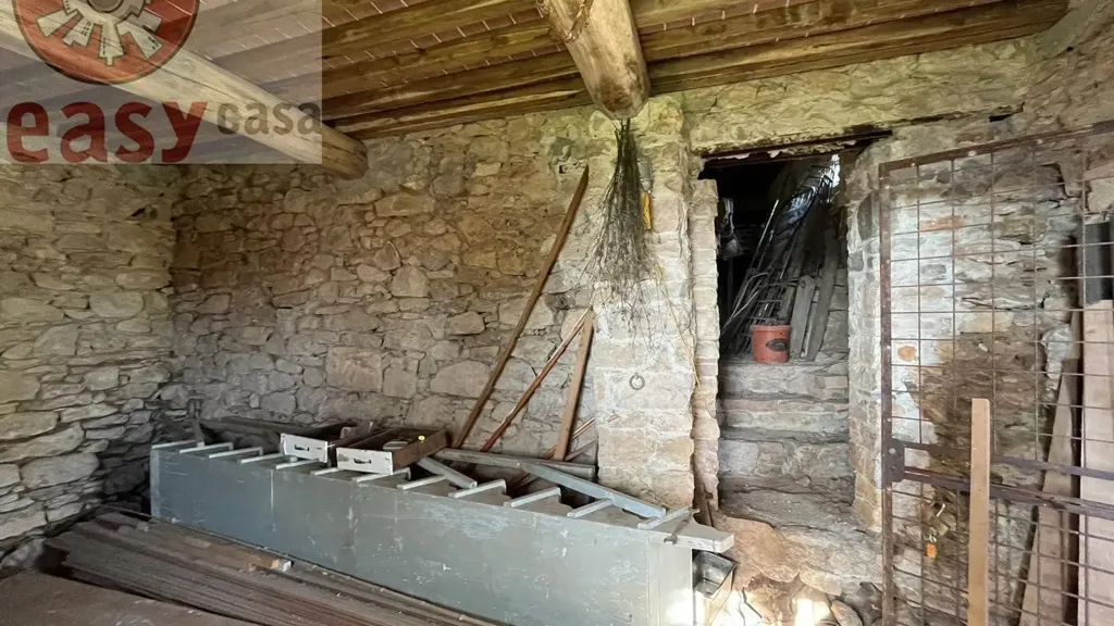 Pièces - Rustic Property with Olive Grove in Lucca