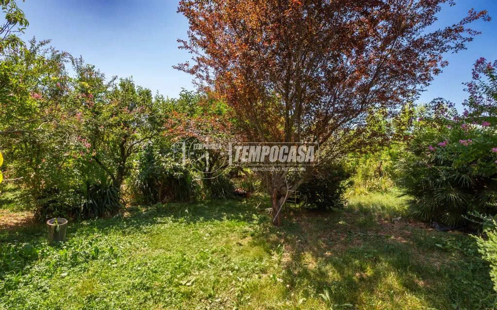 Garden - Rustic Country House with Garden in Narzole