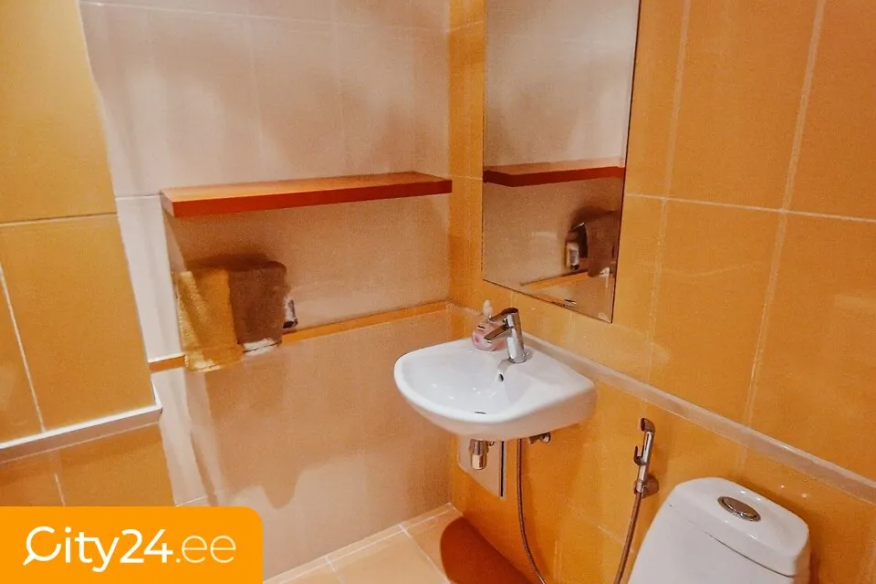 Vannitoad - Modern Flat with Park View in Riga Centre