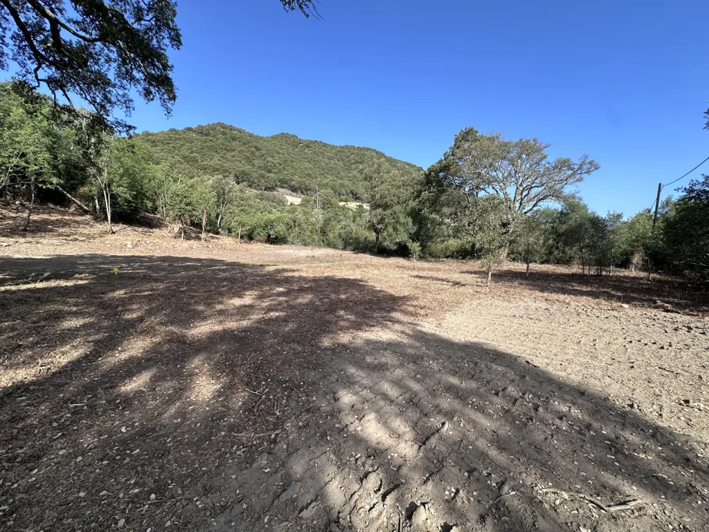 Jardin - Terrain Constructible à Serra-Di-Fiumorbo