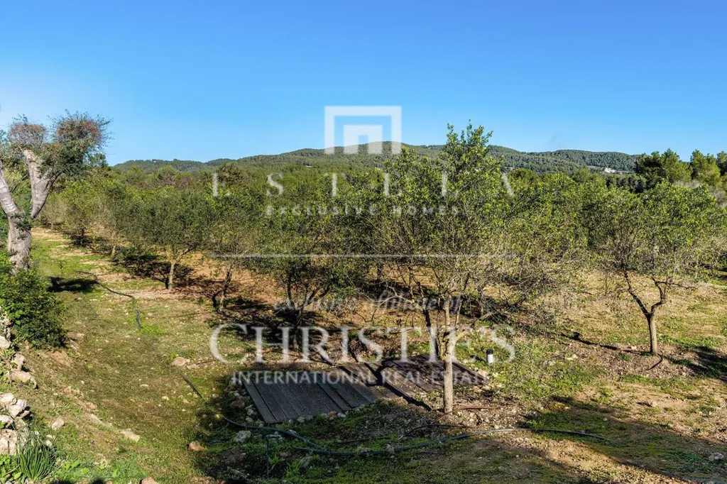 Giardino - Chalet with Pool and Terrace in Sant Joan de Labritja
