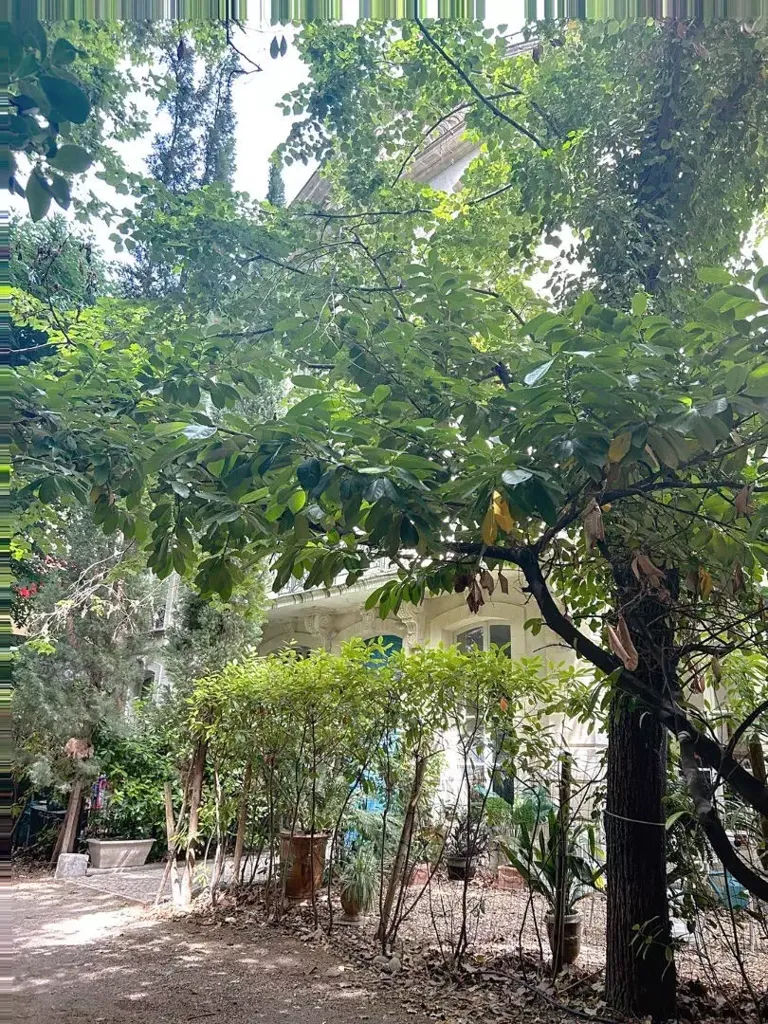 Giardino - Duplex with Garden Access in Avignon