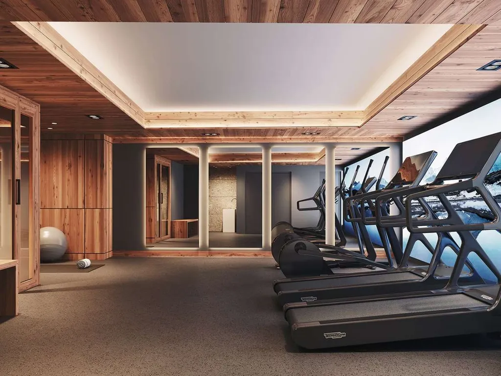 Toad - 3 Bedroom Apartment with Panoramic Views in l'Alpe-d'Huez
