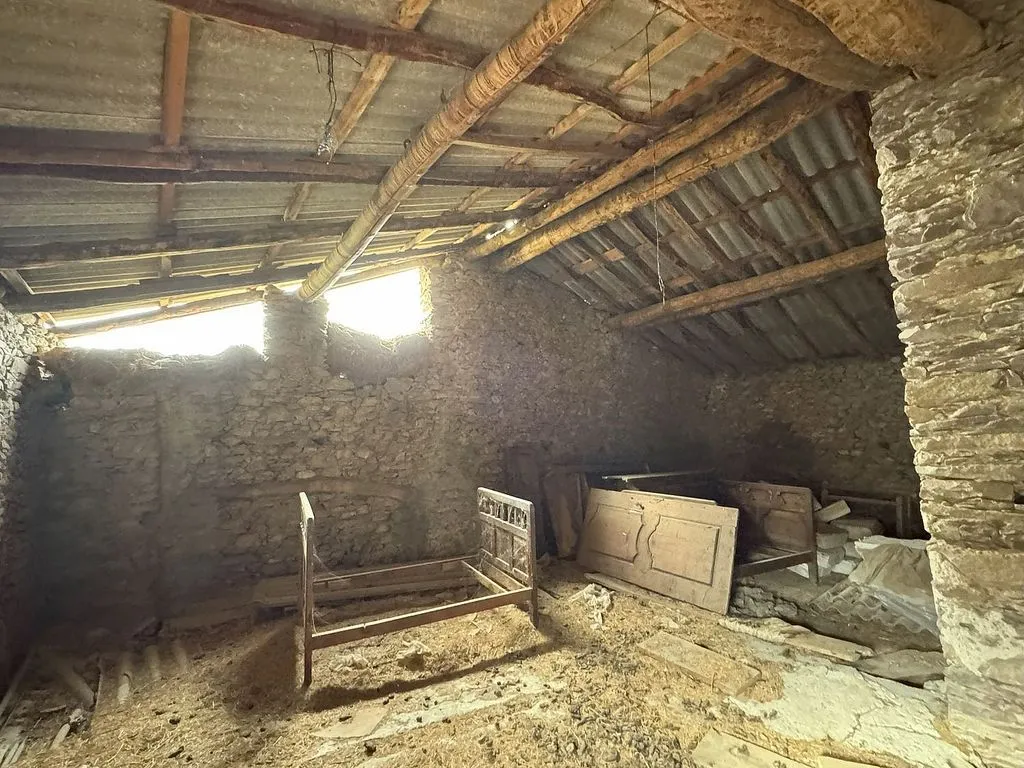 Toad - Ancient Borda with South Views in Bisaurri