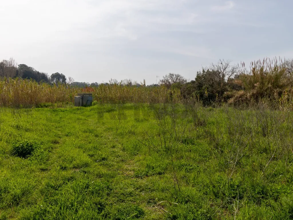 Giardino - Buildable Land with Project in Ardea