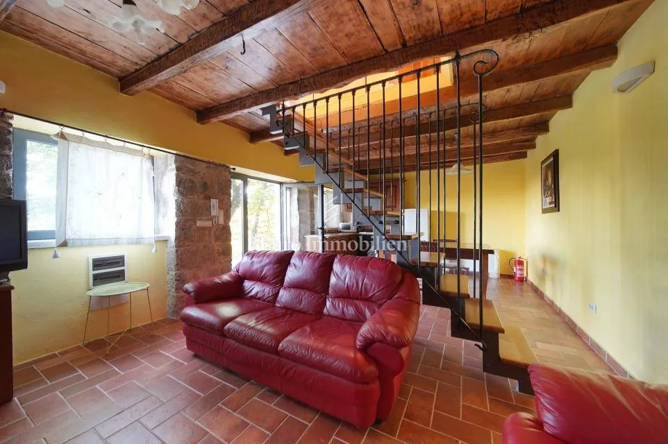 Séjour - Renovated Estate with Panoramic Views in Lupoglav