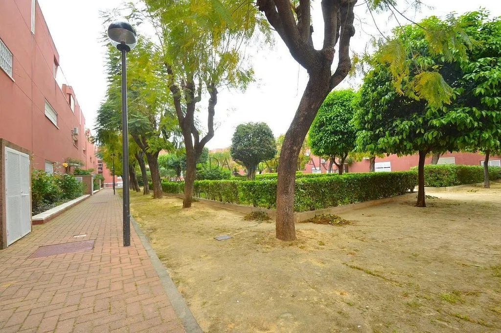 Terraced House with Terrace in El Cano, Sevilla