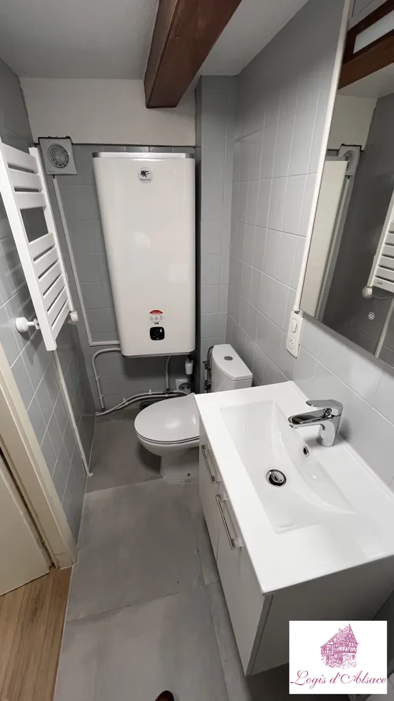 Vannitoad - Modernised 2-Bed Apartment in Altkirch Centre