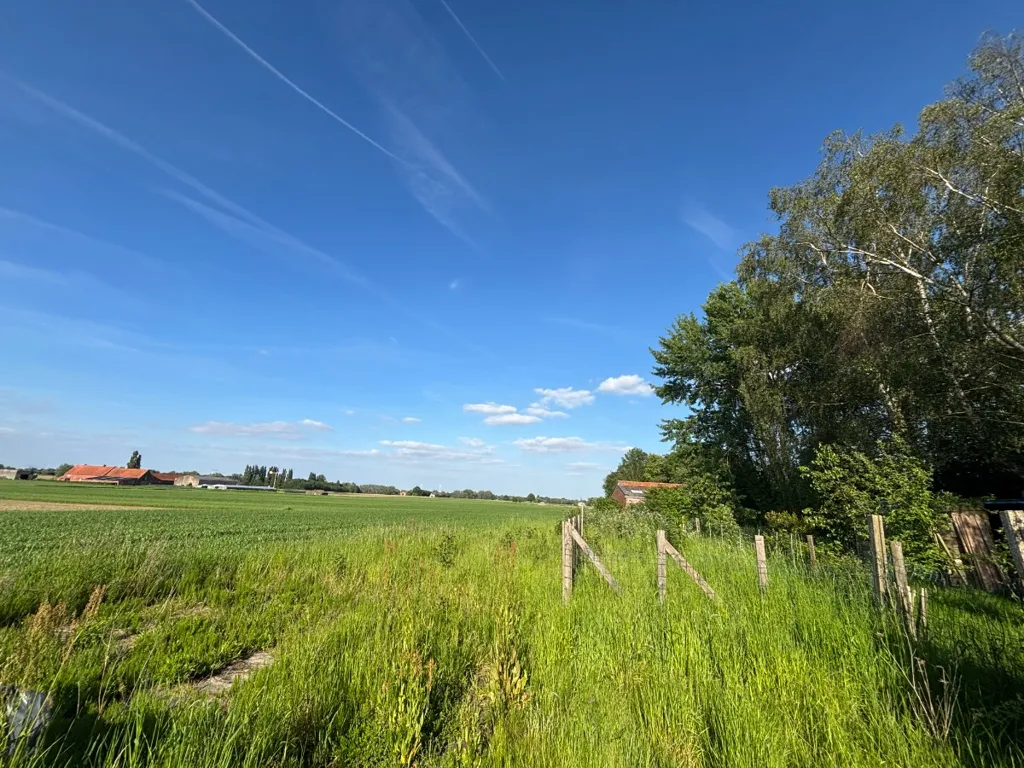 Jardin - Maison à Rénover avec Vue Campagne à Ledegem