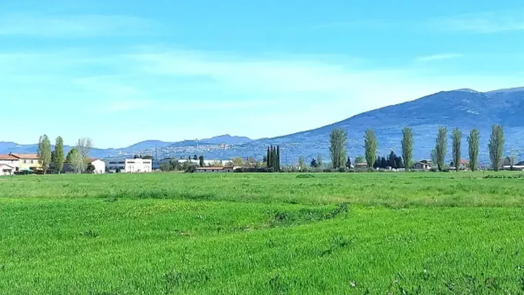 Rustic House with Garden in Cannara