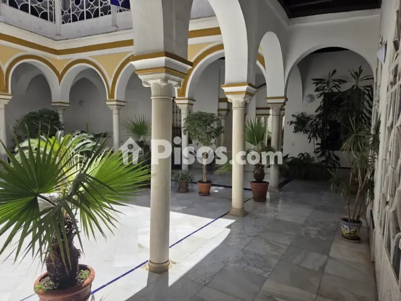 Giardino - Palace-Style Flat with Rooftop in Seville