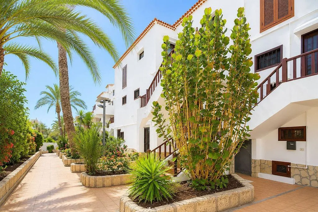 Garden - Studio with Terrace and Pool in Playa de las Américas