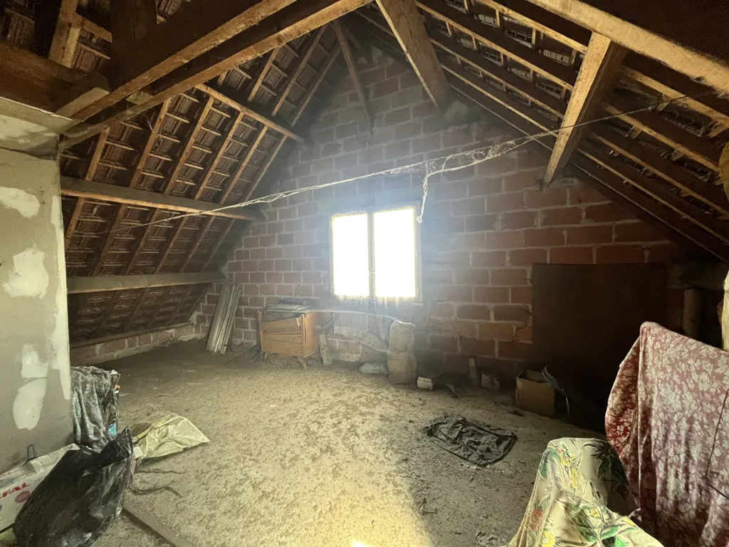 Toad - House with Large Basement in Peaceful Setting